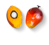 ПАЛЬМОВОЕ МАСЛО