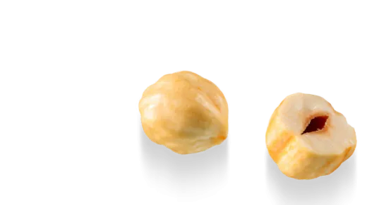 roasted-hazelnut-cutted